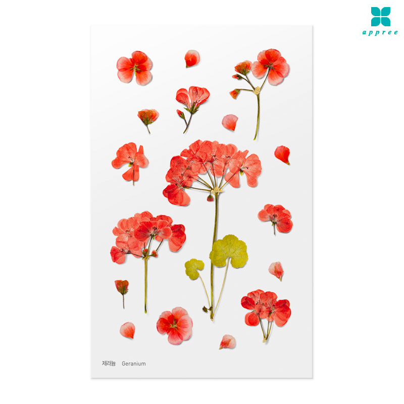 ���� �� ��ȭ��ƼĿ 40��/�ٲٽ�ƼĿ/���̾�ٹ̱�/�ɽ�ƼĿ/�ڿ�����ƼĿ/�ҽý�ƼĿ