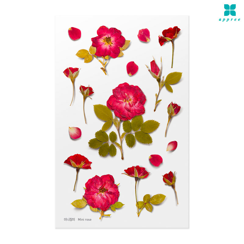 �̴���� �� ��ȭ��ƼĿ 40��/�ٲٽ�ƼĿ/���̾�ٹ̱�/�ɽ�ƼĿ/�ڿ�����ƼĿ/�ҽý�ƼĿ