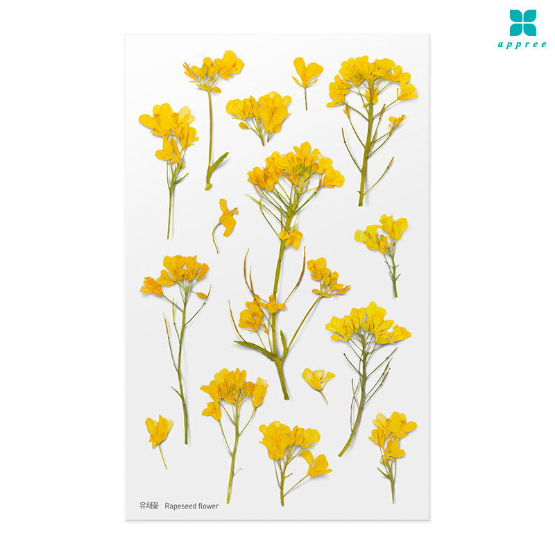 ��ä�� �� ��ȭ��ƼĿ 40��/�ٲٽ�ƼĿ/���̾�ٹ̱�/�ɽ�ƼĿ/�ڿ�����ƼĿ/�ҽý�ƼĿ