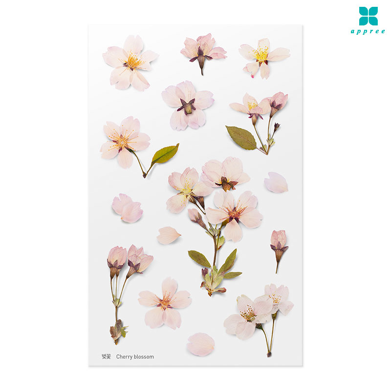 ���� �� ��ȭ��ƼĿ 40��/�ٲٽ�ƼĿ/���̾�ٹ̱�/�ɽ�ƼĿ/�ڿ�����ƼĿ/�ҽý�ƼĿ