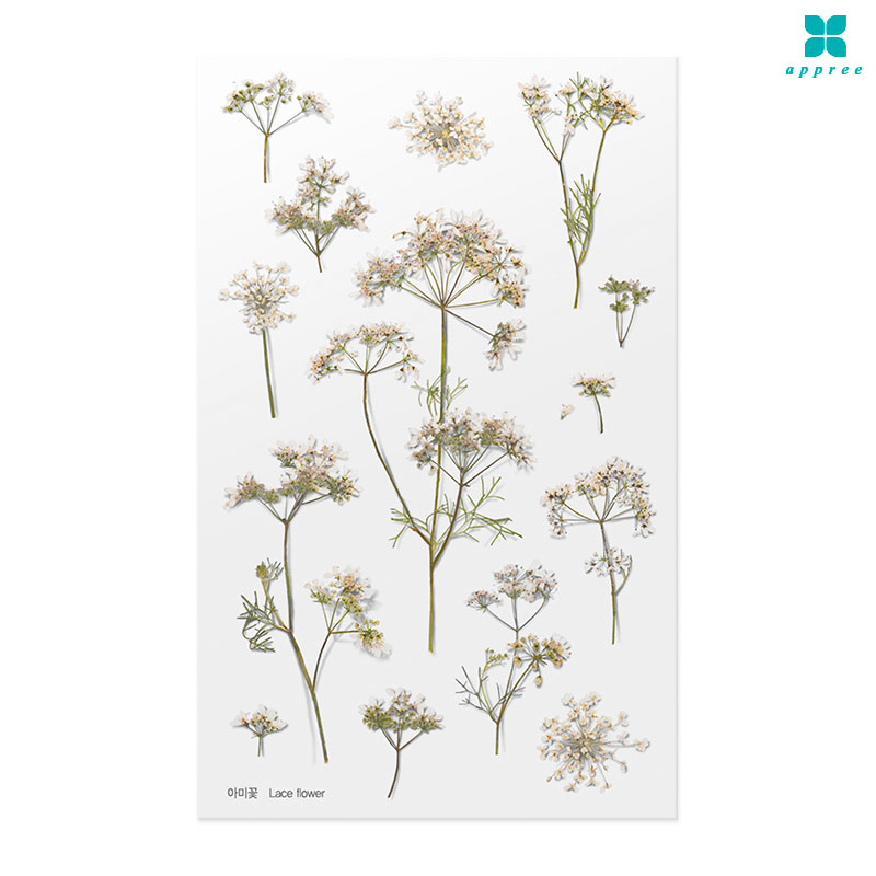 �ƹ̲� �� ��ȭ��ƼĿ 40��/�ٲٽ�ƼĿ/���̾�ٹ̱�/�ɽ�ƼĿ/�ڿ�����ƼĿ/�ҽý�ƼĿ