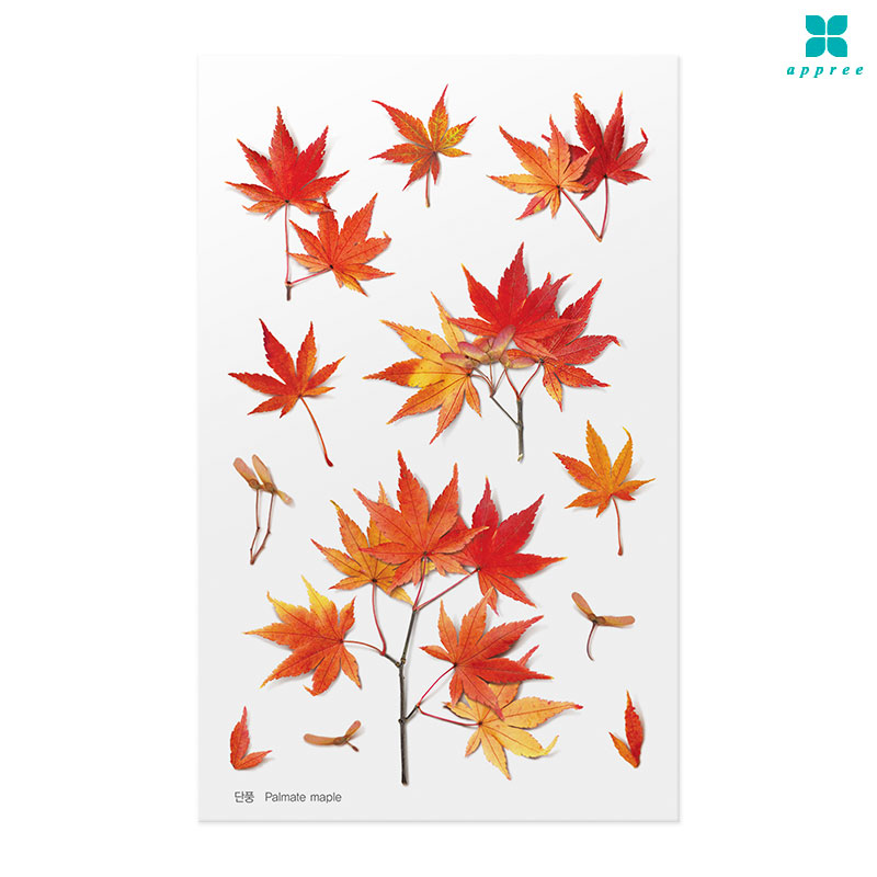 ��ǳ �� ��ȭ��ƼĿ 40��/�ٲٽ�ƼĿ/���̾�ٹ̱�/�ɽ�ƼĿ/�ڿ�����ƼĿ/�ҽý�ƼĿ