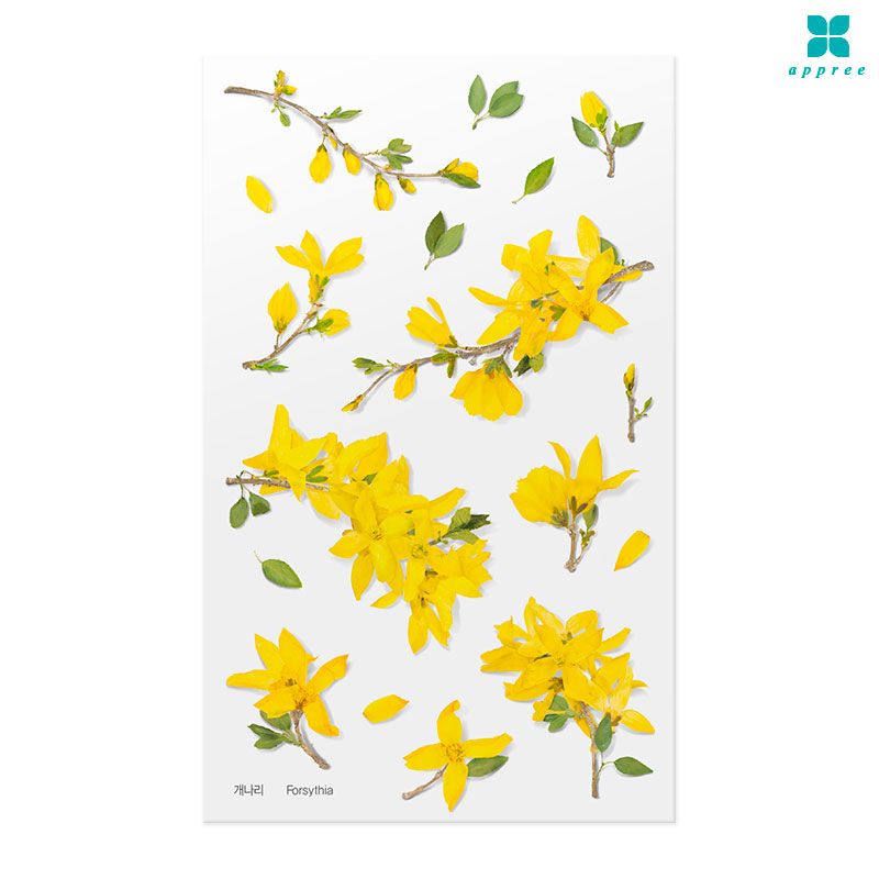 ������ �� ��ȭ��ƼĿ 40��/�ٲٽ�ƼĿ/���̾�ٹ̱�/�ɽ�ƼĿ/�ڿ�����ƼĿ/�ҽý�ƼĿ