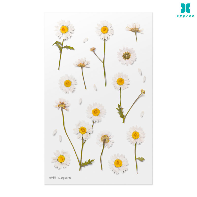 ������ �� ��ȭ��ƼĿ 40��/�ٲٽ�ƼĿ/���̾�ٹ̱�/�ɽ�ƼĿ/�ڿ�����ƼĿ/�ҽý�ƼĿ