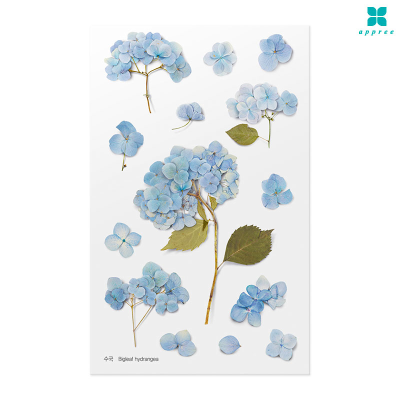 ���� �� ��ȭ��ƼĿ 40��/�ٲٽ�ƼĿ/���̾�ٹ̱�/�ɽ�ƼĿ/�ڿ�����ƼĿ/�ҽý�ƼĿ