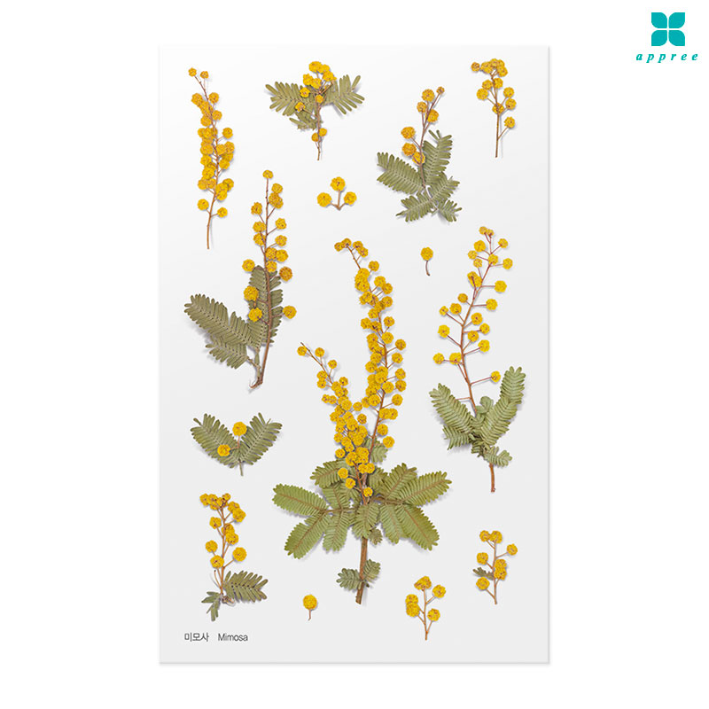 �̸�� �� ��ȭ��ƼĿ 40��/�ٲٽ�ƼĿ/���̾�ٹ̱�/�ɽ�ƼĿ/�ڿ�����ƼĿ/�ҽý�ƼĿ