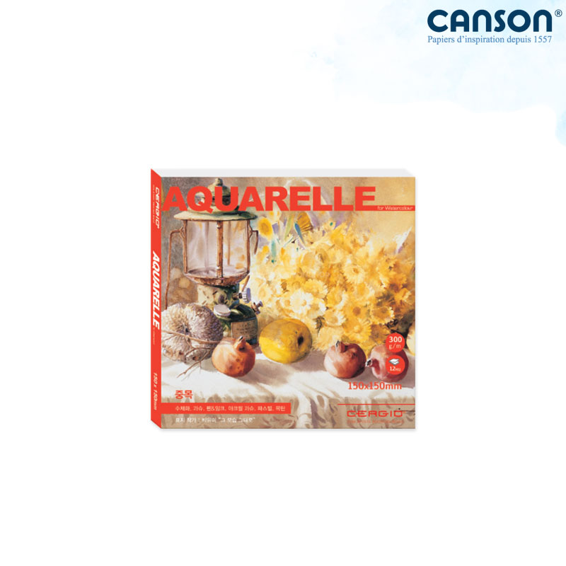 �������� �����Ʒ� ��ä�е� 300g 15x15cm 12�� 1������/��äȭ����