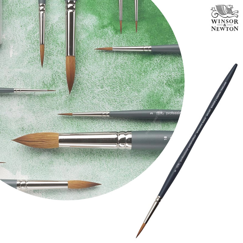 Winsor&Newton �����ش�ư ��ä�� ������ų� �ż�ƽ ���̺� �귯�� ���� Size6