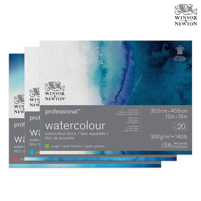 Winsor&Newton �����ش�ư ������ ��ä�е� 300g 31x41 20��